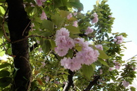 Photo_2